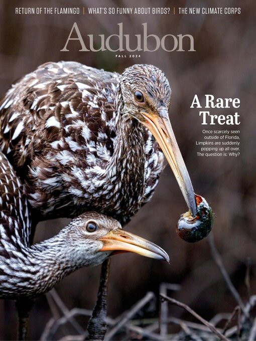 Title details for Audubon Magazine by National Audubon Society - Available